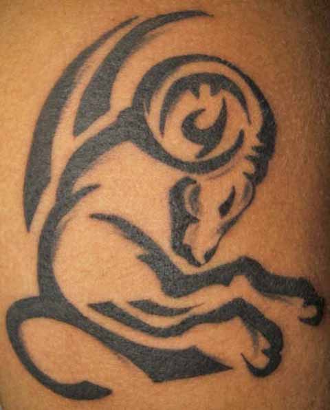 Aries tattoo by dadi-muki on DeviantArt