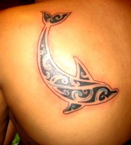 Images of Dolphin Tribal Tattoo