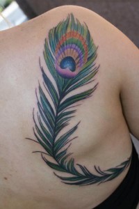 Peacock Feather Tribal Tattoo