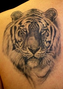 Tiger Tribal Tattoo Designs