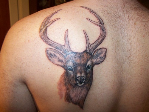 12 Stunning Tribal Deer Tattoos | Only Tribal