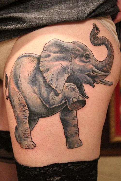 50 Best Elephant Tattoo Design Ideas and What They Mean  Saved Tattoo