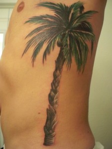 Tribal Palm Tree Tattoos