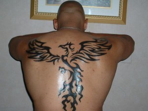 Tribal Phoenix Tattoo Images