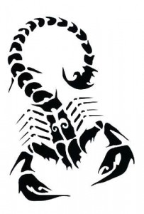 Tribal Scorpion Tattoo Designs