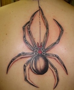 Tribal Spider Tattoo Pictures
