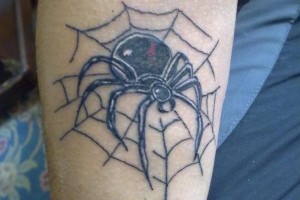 Tribal Spider Web Tattoo Designs