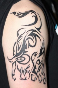 Tribal Taurus Tattoos
