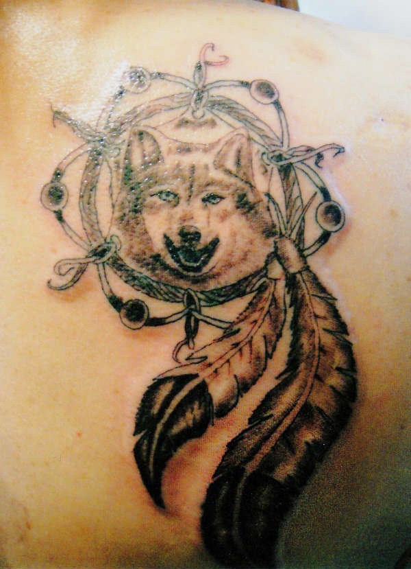 wolf dreamcatcher tribal tattoo