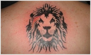 Lion Tattoos Tribal