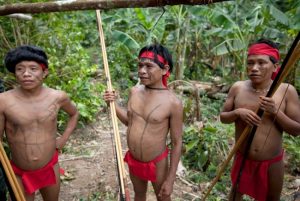 Yanomami Tribe Pictures