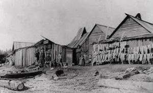 Makah Tribe Houses