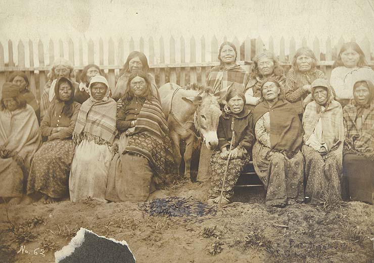 Miwok Tribe: History, Culture and Facts