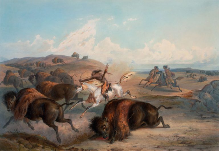 Kiowa Tribe of Oklahoma, Facts, History and Culture Only Tribal